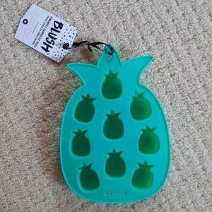 Pineapple Shaped Ice Mold